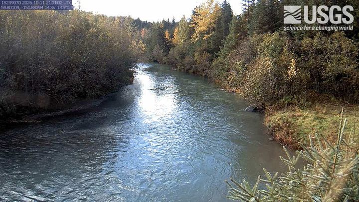 Bradley River near Tidewater near Homer, AK: the newest picture from the USGS camera