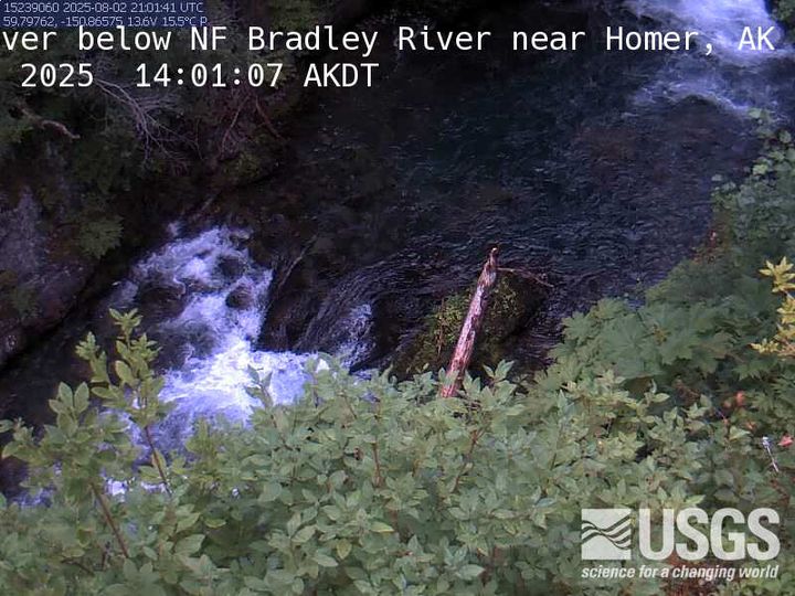 MF Bradley River below NF Bradley River near Homer Webcam view