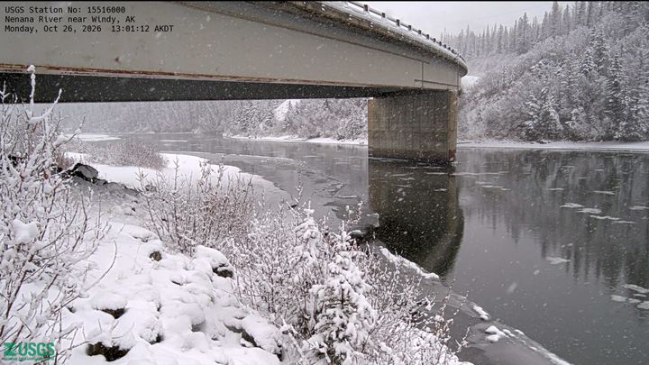 Nenana River near Windy