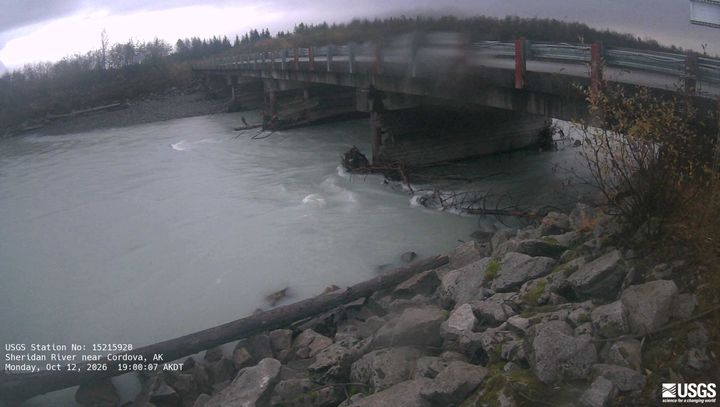 Sheridan River near Cordova, AK: the newest picture from the USGS camera