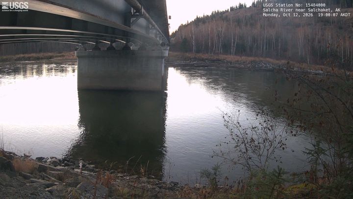Salcha River near Salchaket, AK: the newest picture from the USGS camera