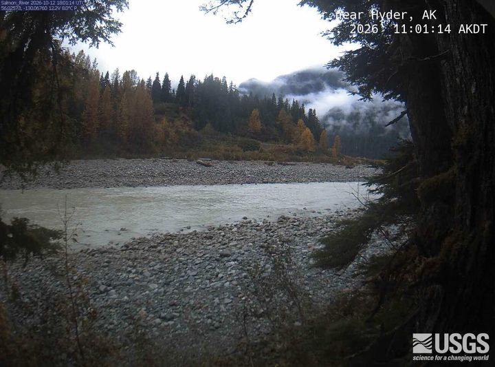Salmon River near Hyder, AK: the newest picture from the USGS camera