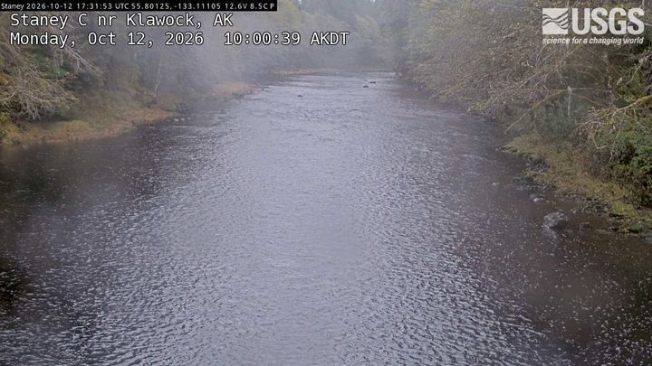 Staney Creek near Klawock, AK: the newest picture from the USGS camera
