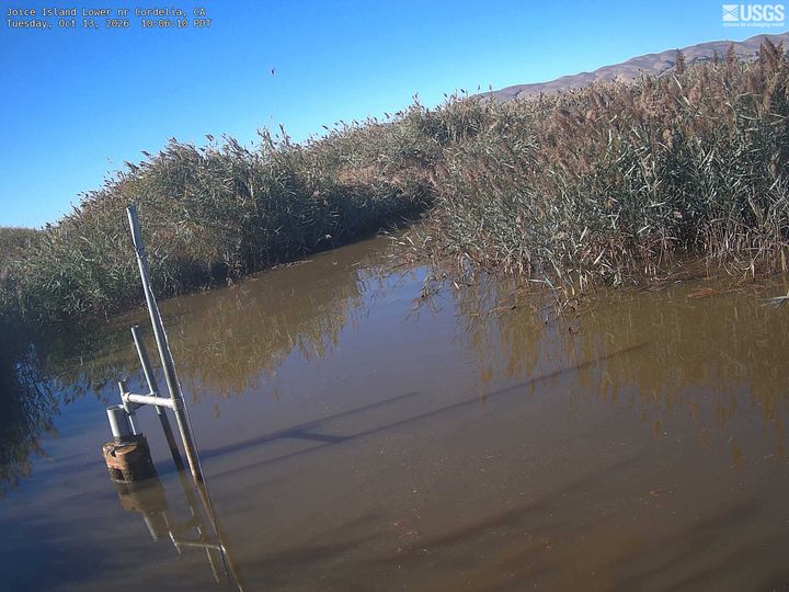 Joice Island Lower nr Cordelia