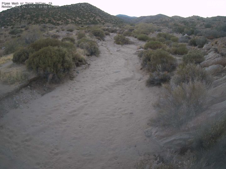 Pipes Wash nr Yucca Valley