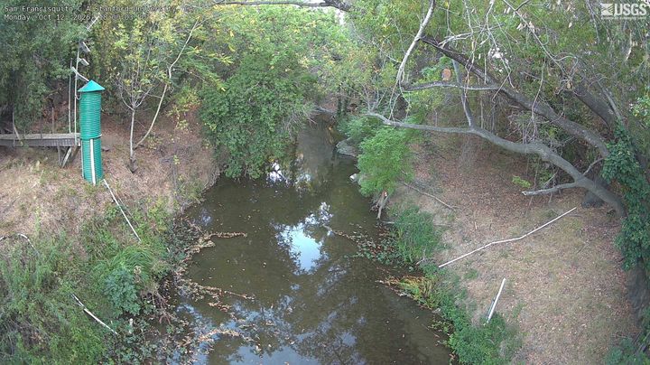 San Francisquito Creek at Stanford University, CA: the newest picture from the USGS camera