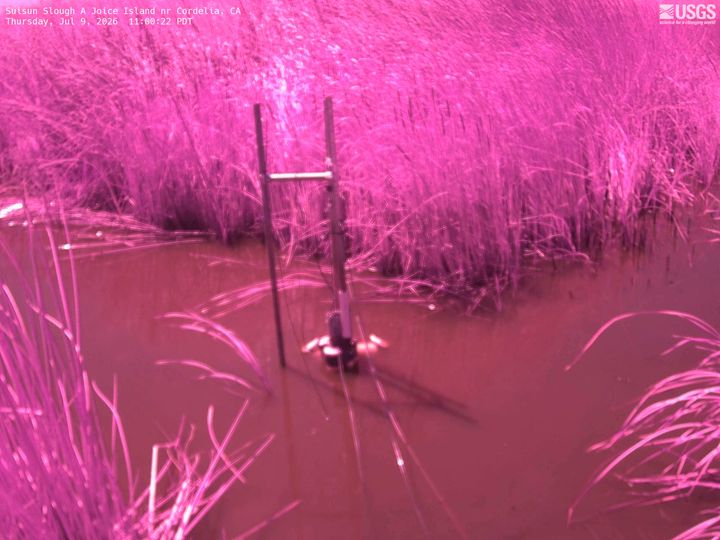 Suisun Slough A Joice Island nr Cordelia Webcam view