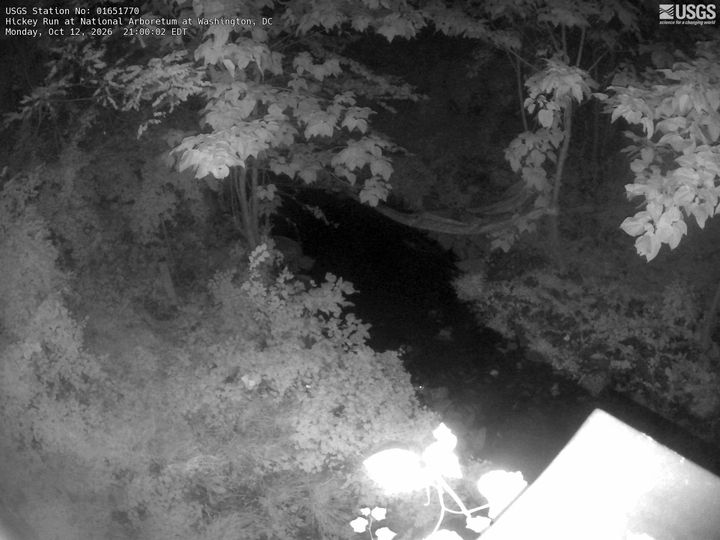 Hickey Run at National Arboretum, DC: the newest picture from the USGS camera