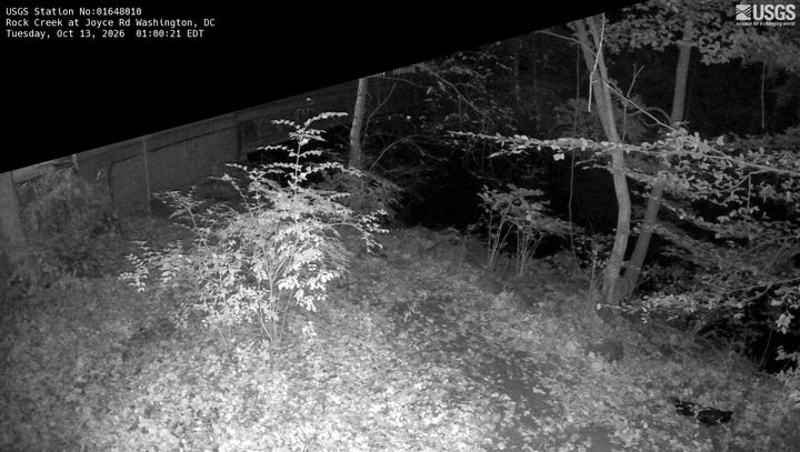 Rock Creek at Joyce Road in Washington, DC: the newest picture from the USGS camera