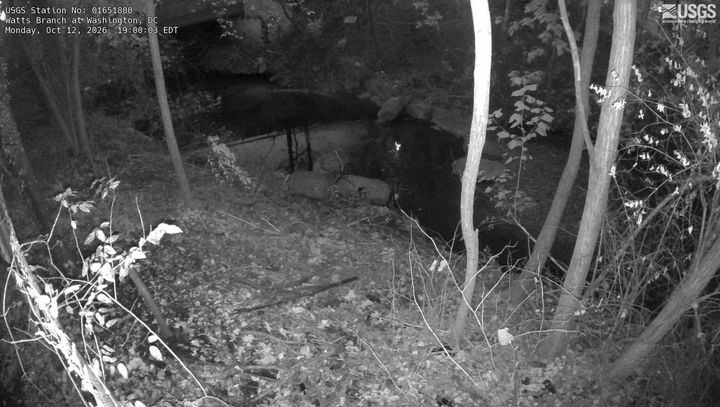 Watts Branch at Washington, DC: the newest picture from the USGS camera