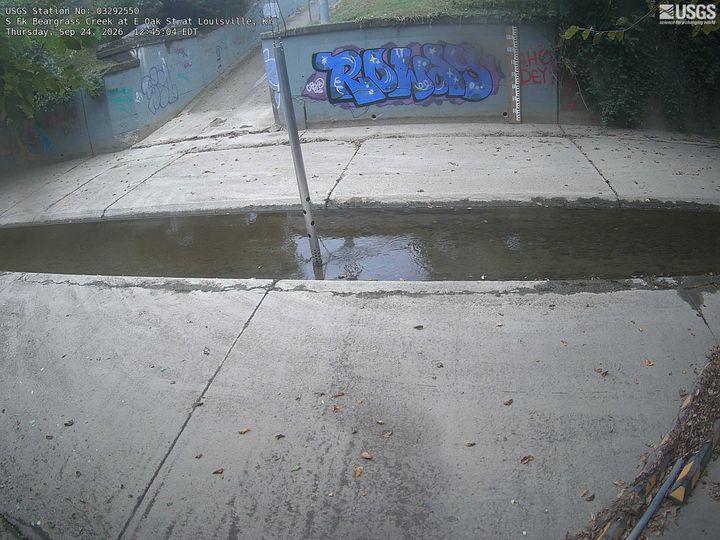 S Fk Beargrass Creek at E Oak St at Louisville