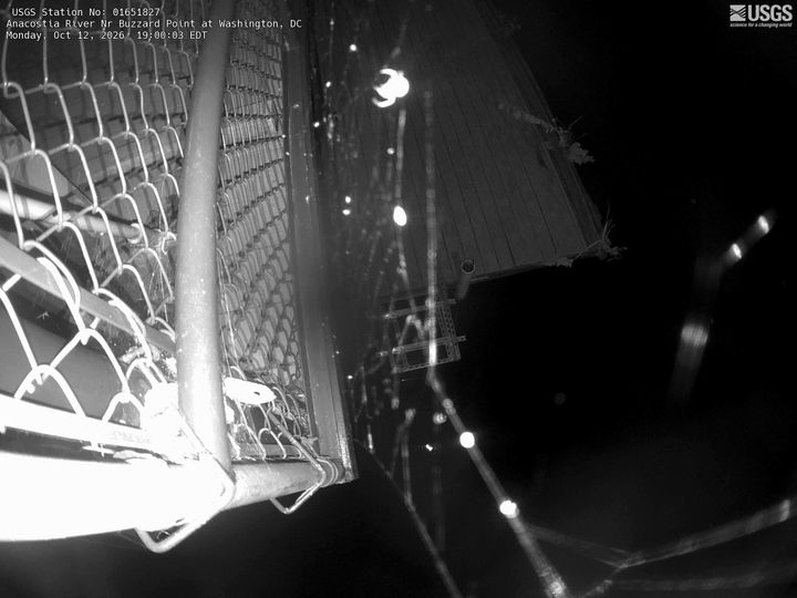 Anacostia River at Buzzard Point in Washington DC, DC: the newest picture from the USGS camera