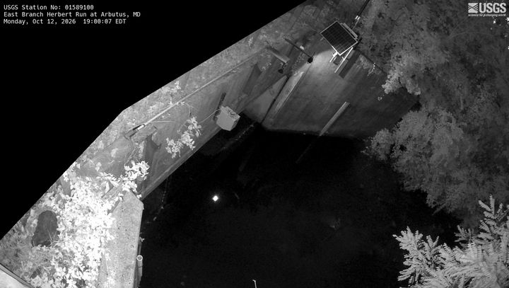 East Branch Herbert Run at Arbutus, MD: the newest picture from the USGS camera