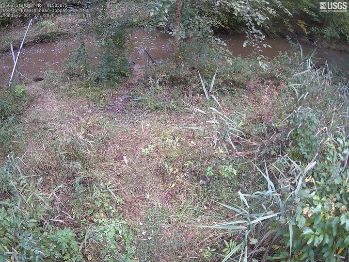 Foster Branch near Joppatowne, MD: the newest picture from the USGS camera