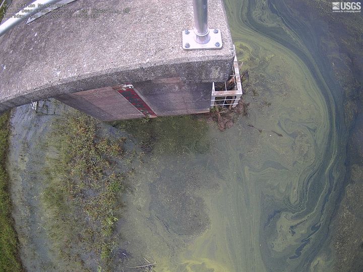 Little Deer Creek Reservoir near Shawsville Webcam view