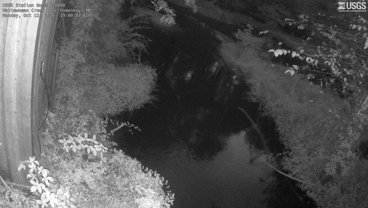 Mattawoman Creek near Pomonkey, MD: the newest picture from the USGS camera