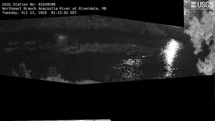 Northeast Branch Anacostia River at Riverdale, MD: the newest picture from the USGS camera