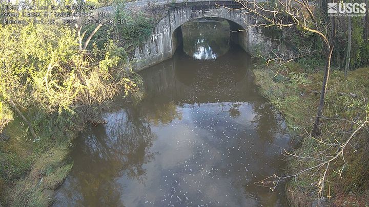 Swan Creek at Swan Creek, MD: the newest picture from the USGS camera