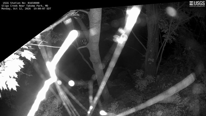 Sligo Creek near Takoma Park, MD: the newest picture from the USGS camera
