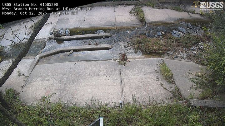 West Branch Herring Run at Idlewylde, MD: the newest picture from the USGS camera