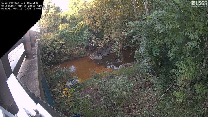 Whitemarsh Run at White Marsh, MD: the newest picture from the USGS camera