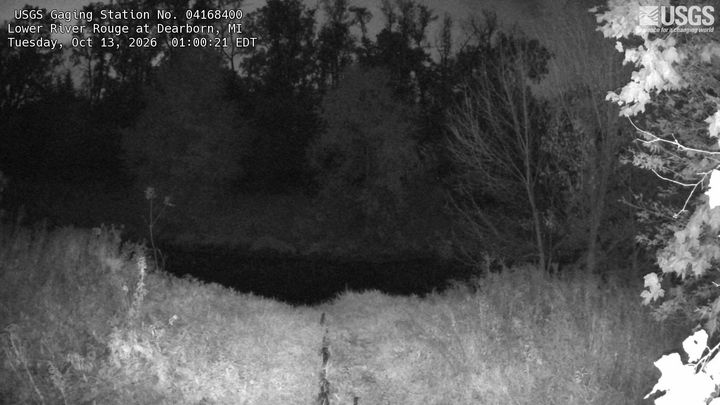 Lower River Rouge at Dearborn: the newest picture from the USGS camera