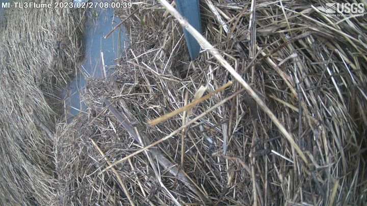 Tile Drain to Mill Creek near Waldron FLUME OVERVIEW Webcam view