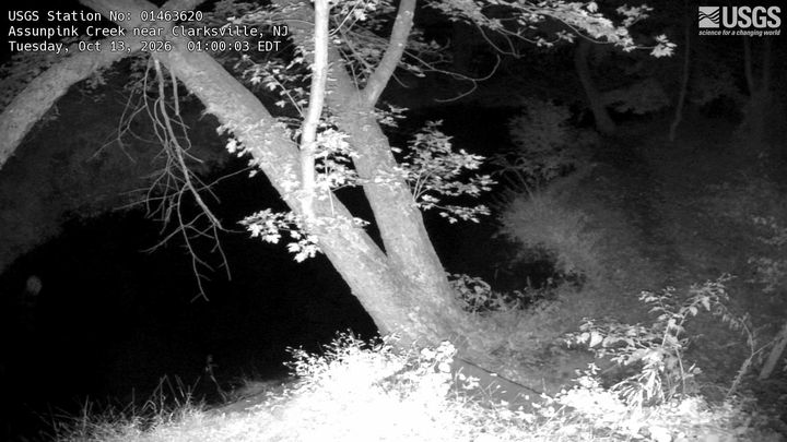 Assunpink Creek at Clarksville, NJ: the newest picture from the USGS camera