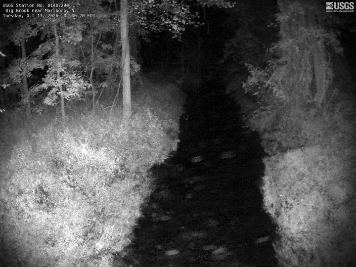 Big Brook at Marlboro, NJ: the newest picture from the USGS camera