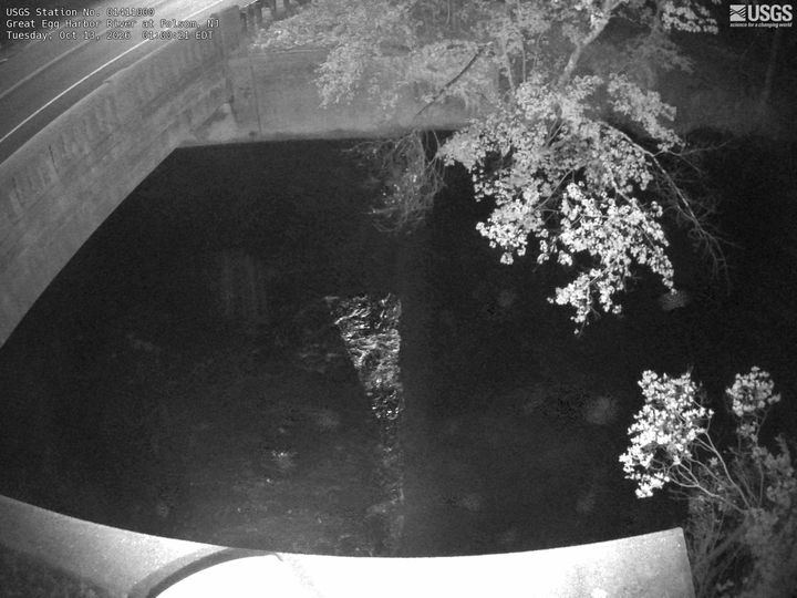 Great Egg Harbor River at Folsom, NJ: the newest picture from the USGS camera