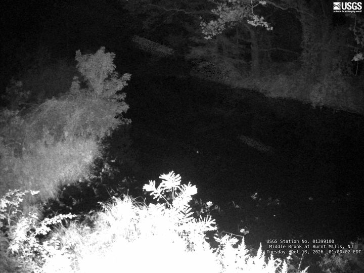 Middle Brook at Burnt Mills, NJ: the newest picture from the USGS camera