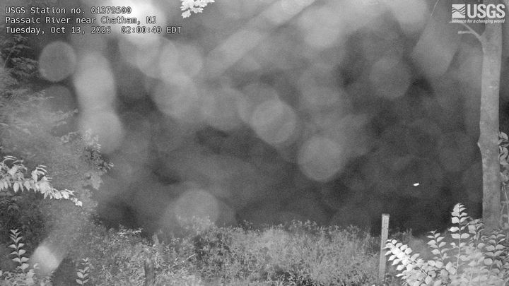 Passaic River at Chatham, NJ: the newest picture from the USGS camera