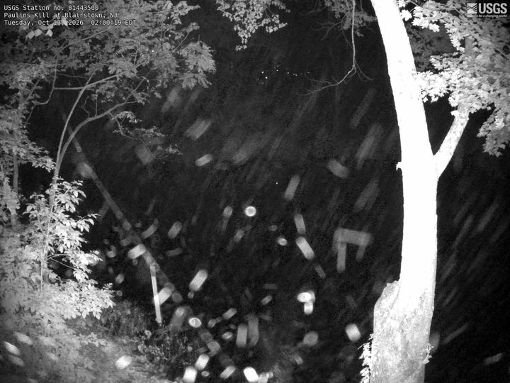 Paulins Kill at Blairstown, NJ: the newest picture from the USGS camera