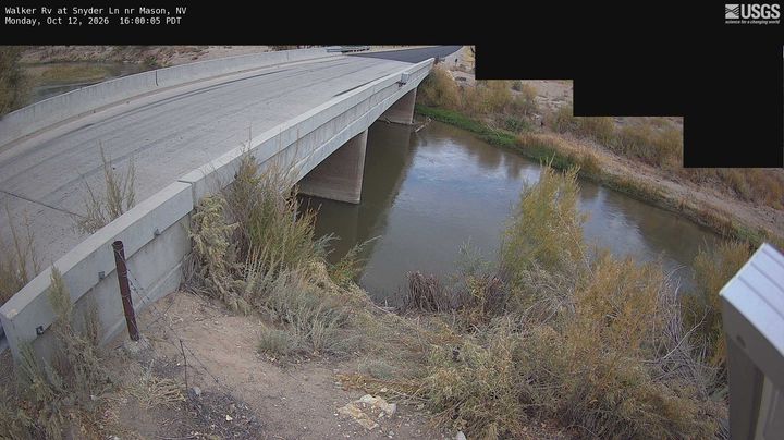 Walker River near Mason - Snyder Lane, NV: the newest picture from the USGS camera
