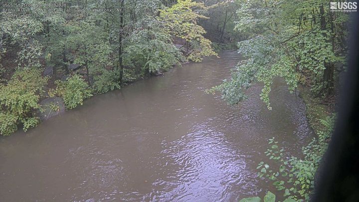 Bronx River at NY Botanical Garden at Bronx Webcam view