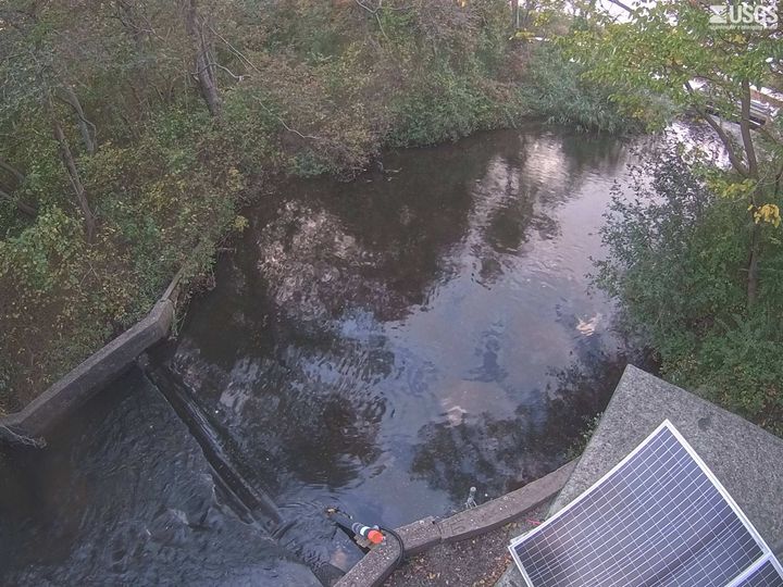 Carlls River at Babylon, NY: the newest picture from the USGS camera