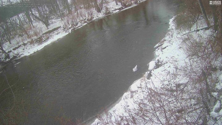 West Branch Delaware River upstream from Delhi Webcam view