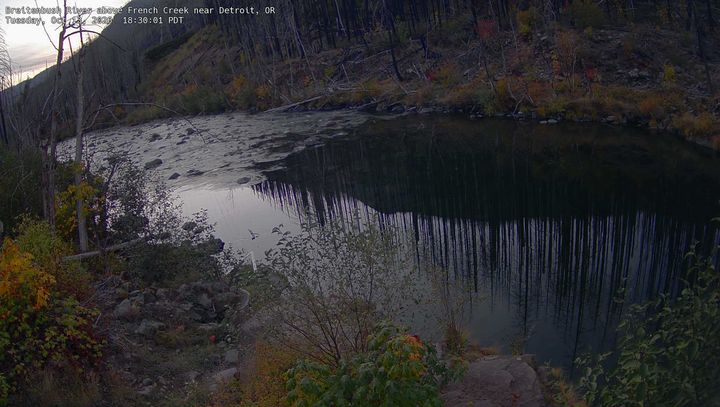Breitenbush River above French Creek near Detroit