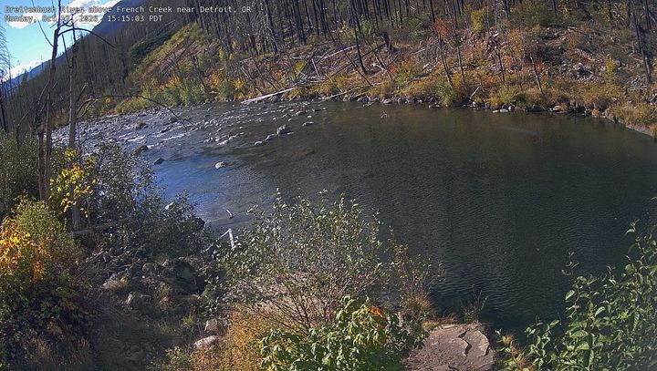 Breitenbush River above French Creek near Detroit