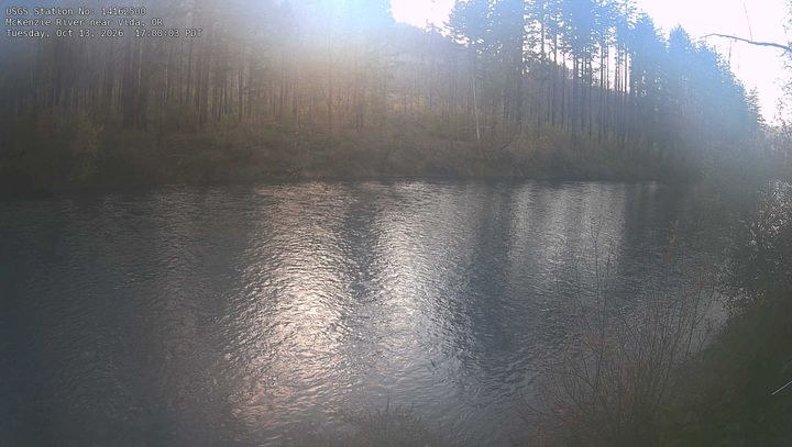 McKenzie River near Vida