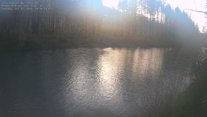 McKenzie River near Vida