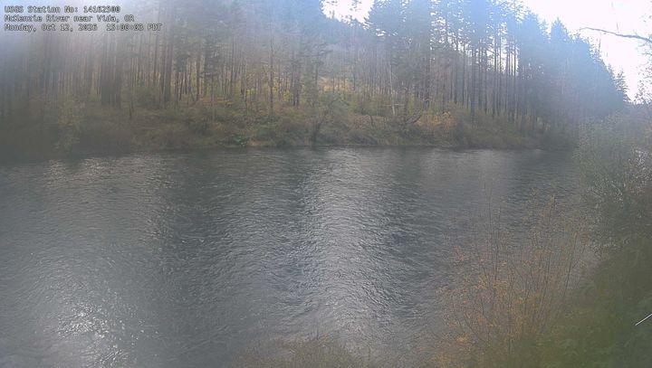 McKenzie River near Vida