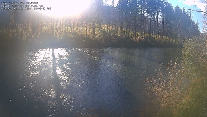 McKenzie River near Vida