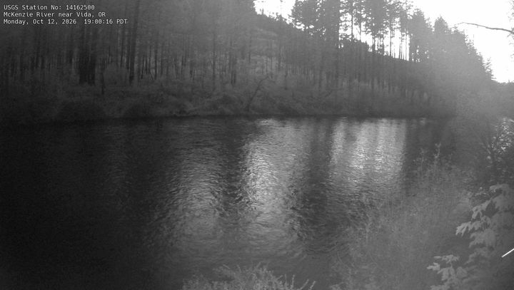 McKenzie River near Vida, OR: the newest picture from the USGS camera