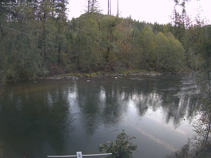 No Santiam R Blw Boulder Crk nr Detroit