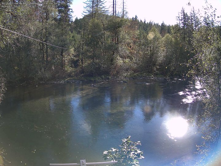 No Santiam R Blw Boulder Crk nr Detroit