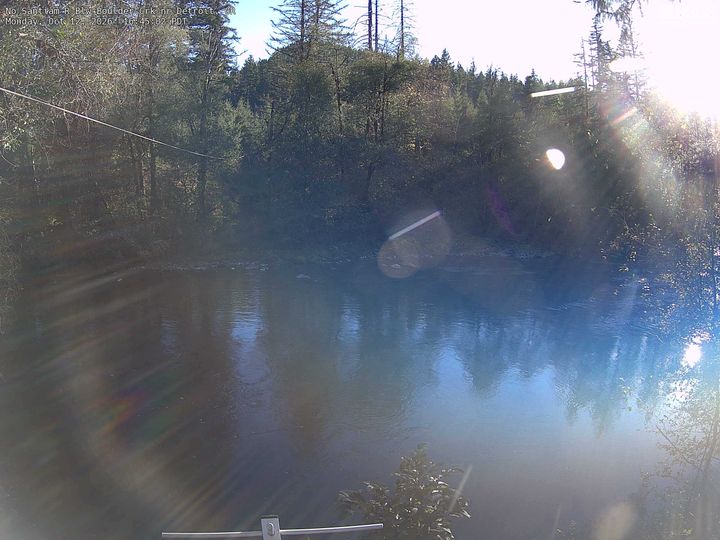 No Santiam R Blw Boulder Crk nr Detroit