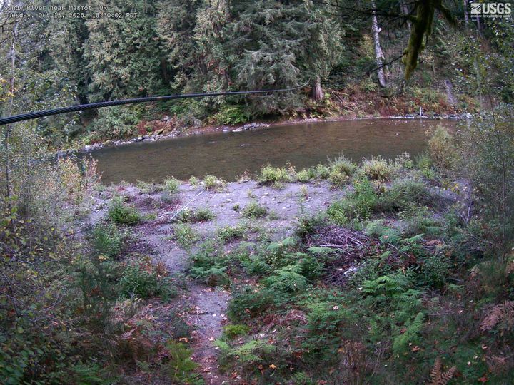 Sandy River near Marmot