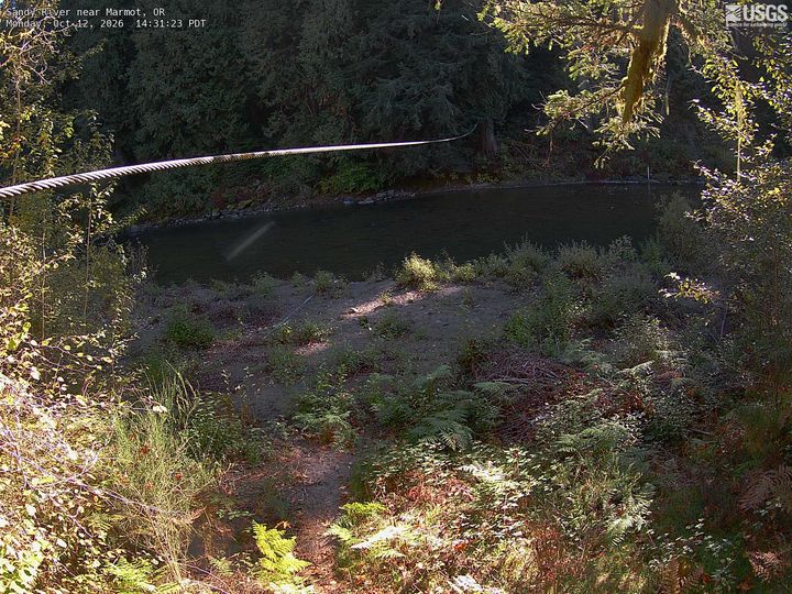 Sandy River near Marmot