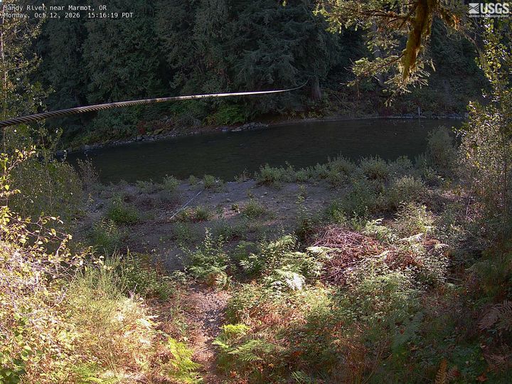 Sandy River near Marmot